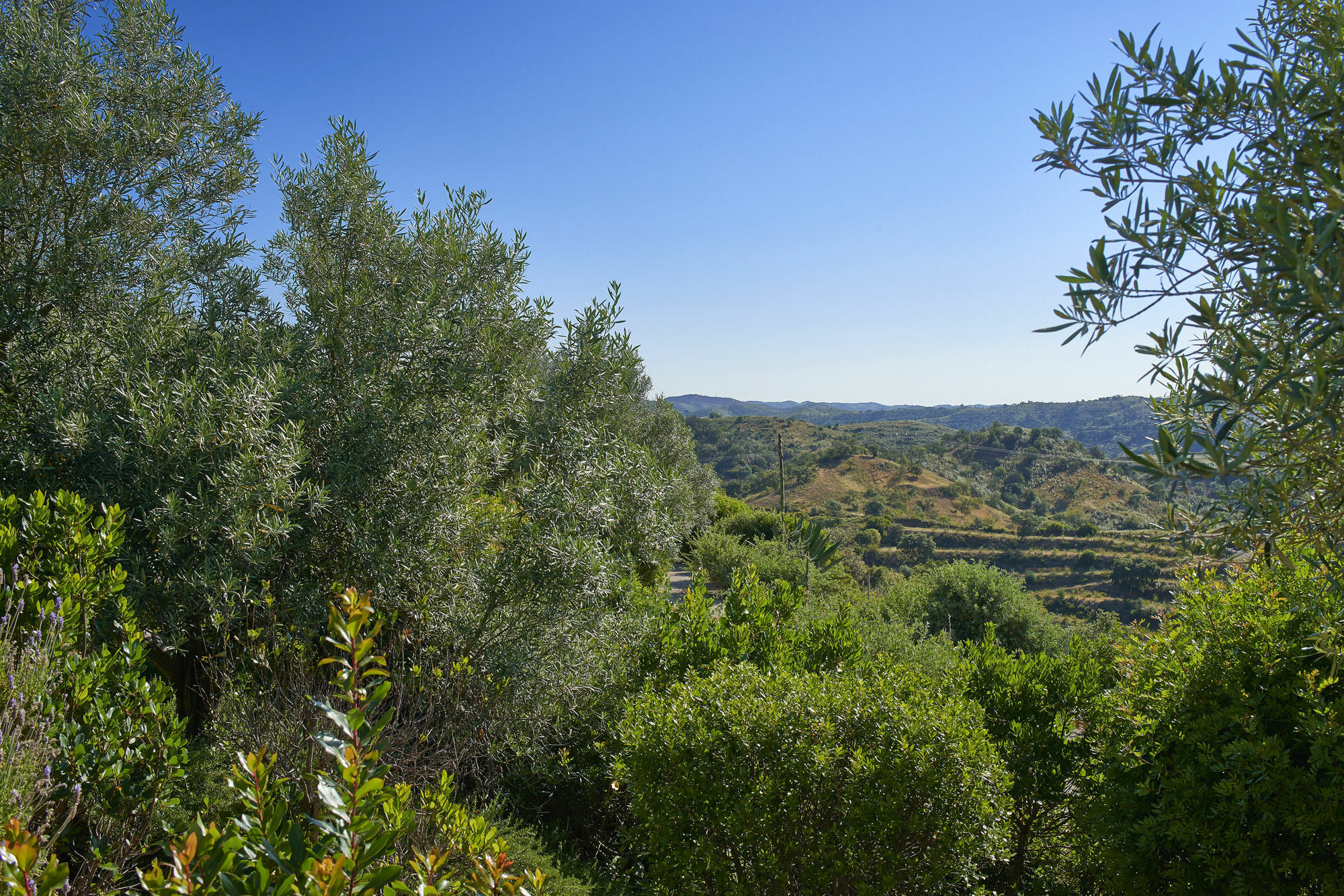 Hotel Rural Quinta Do Marco - Nature & Dining Tavira Extérieur photo